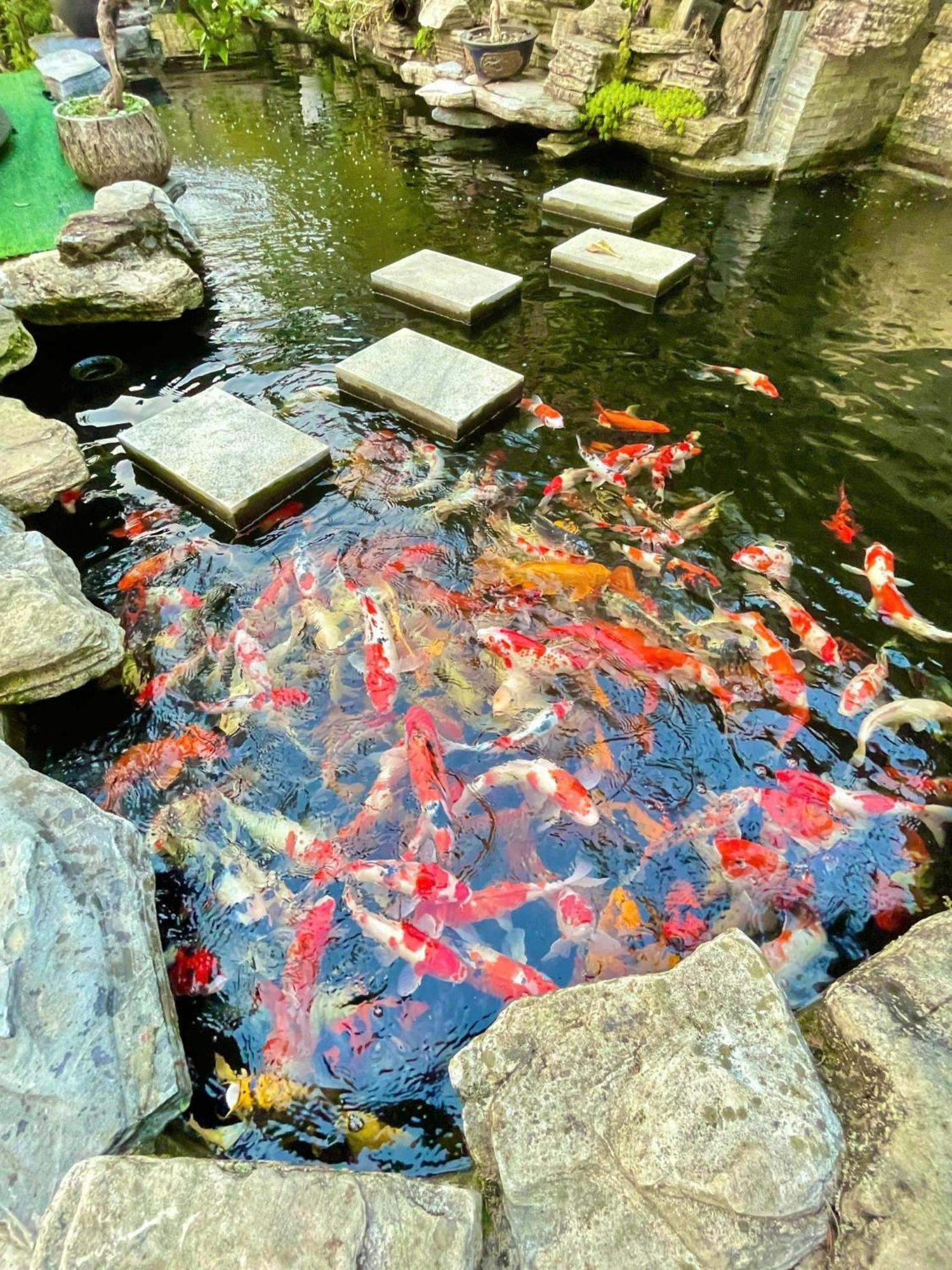 Chuon Chuon Villa Homestay Tam Dao Экстерьер фото