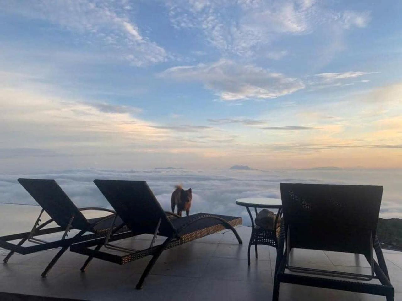 Chuon Chuon Villa Homestay Tam Dao Экстерьер фото